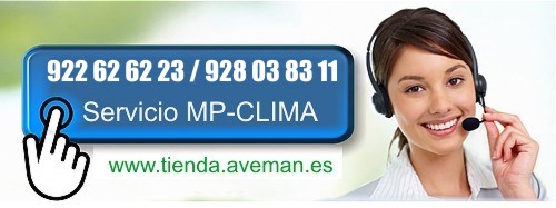 tienda-aveman
